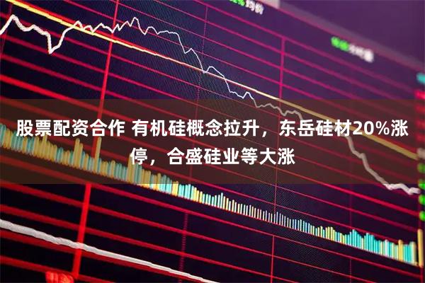 股票配资合作 有机硅概念拉升，东岳硅材20%涨停，合盛硅业等大涨